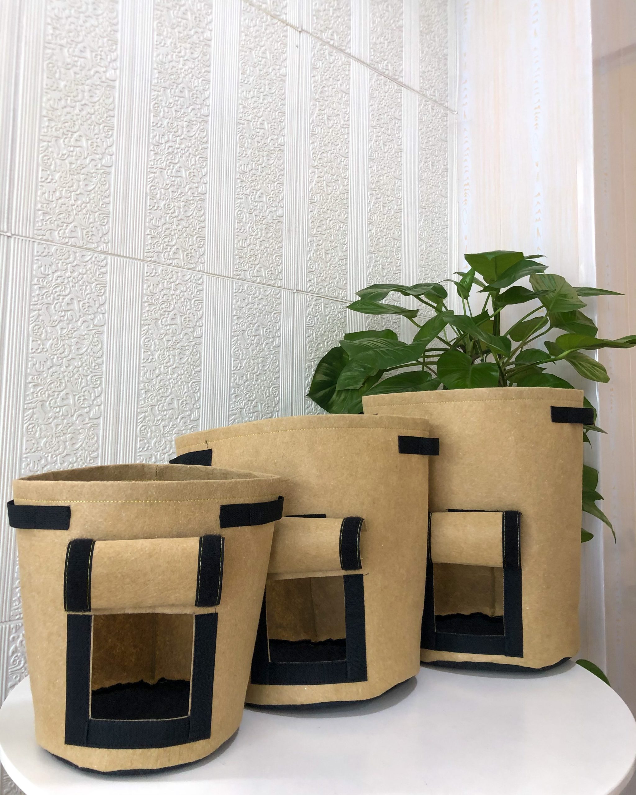 Túi vải không dệt trồng cây - Vải Không Dệt Biển Xanh - Công Ty TNHH Xuất Nhập Khẩu Biển Xanh
